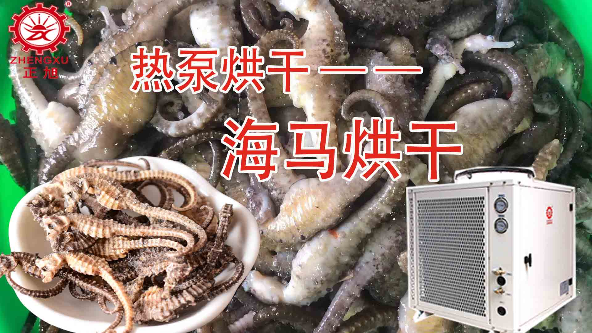 海馬熱泵烘干方法詳解（含研粉、清洗、宰殺、烘干時(shí)間）